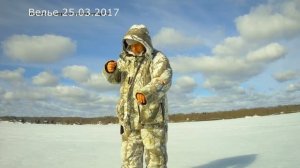 Рыбалка на озере Велье 25.03.2017