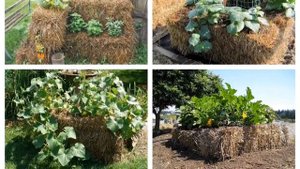 ГРЯДКИ и КЛУМБЫ на СЕНЕ и СОЛОМЕ. Высокие тёплые грядки. КЛУМБЫ. Beds on straw.