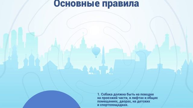 Правила выгула собак: за что могут оштрафовать смотреть онлайн