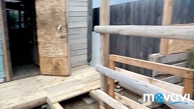 Секрет? чтобы помидоры быстрей краснели. Покраска. Убрали бройлеров. смотреть онлайн