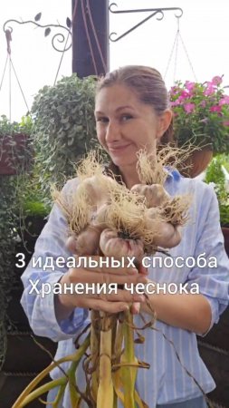 3 способа Хранения чеснока
