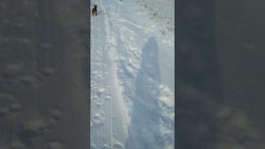 скорость 30 км ч