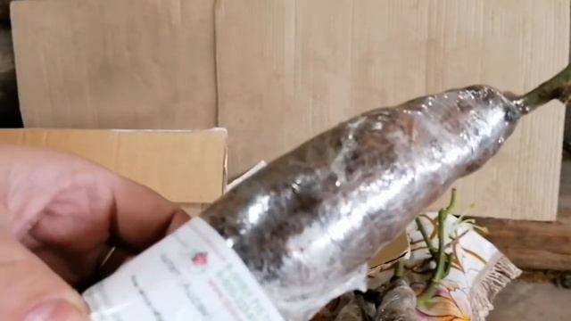 Обзор посылки. Питомник " Долина Роз". Разочарование...