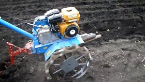 Посадка картофеля на мотоблоке Нева МБ-2