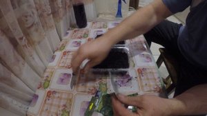 выращивание табака от семян до сигарет часть первая посадка