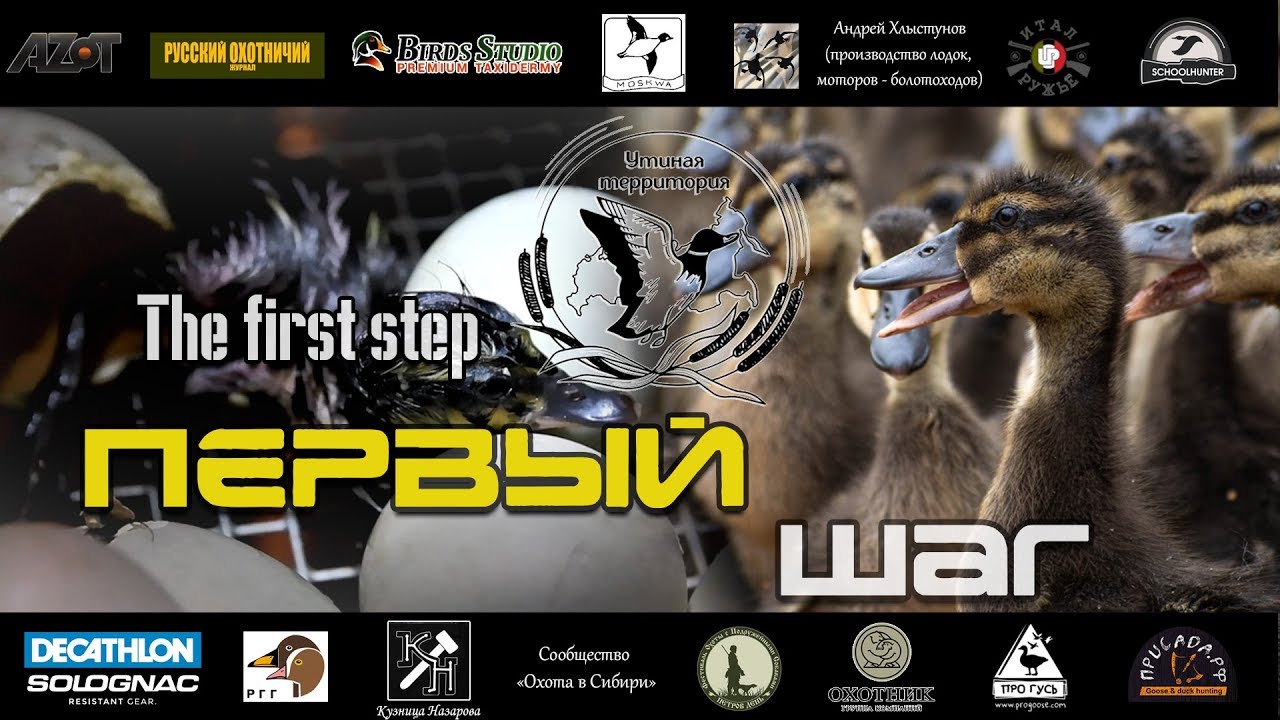 Утиная территория. Первый шаг смотреть онлайн