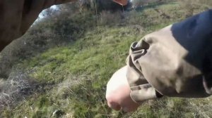 ? Как Атакует СУДАК!!! ☝️ Рыбалка С Берега ?Как поймать судака