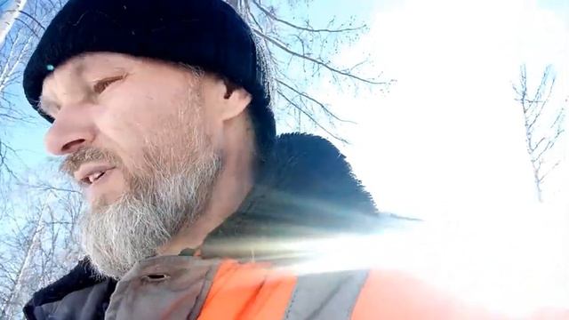 пришлые волки атаковали моих собак 2023.02.06 смотреть онлайн