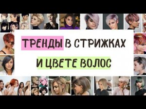 Тренды в стрижках и цвете волос | Стрижки по типу волос и форме лица