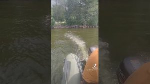 Рыбалка на озере Отрадное в Ленобласти)
