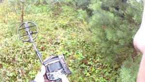 Катушки АКА 13 3-х на АКА Сигнум - Тест 1 копейка 1901 г 40 см в земле