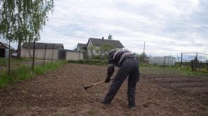 Как правильно ухаживать за картофелем