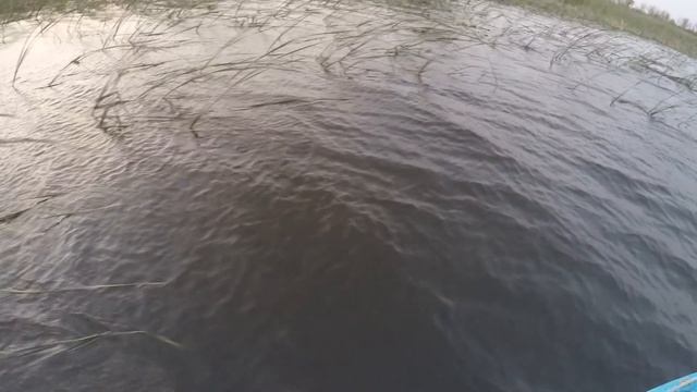 ОХОТА НА УТОК . ПЕРЕЛЁТНАЯ УТКА.МР-155 РУСИЧ. смотреть онлайн