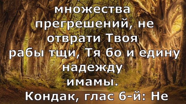 Смоленской иконы Божией Матери, именуемой "Одигитрия". 28 июля/10 августа. (Текст). 2019