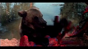 Варвара краса, длинная коса. Обманутые медвежата