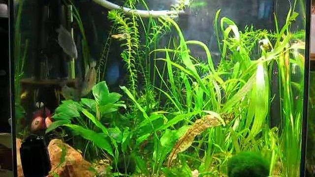 40 л смотреть онлайн