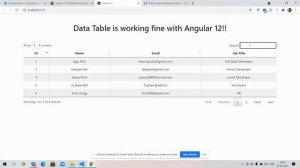 Angular 12 Data Table Working Demo