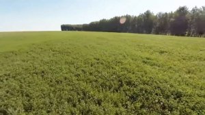 Полет над полем