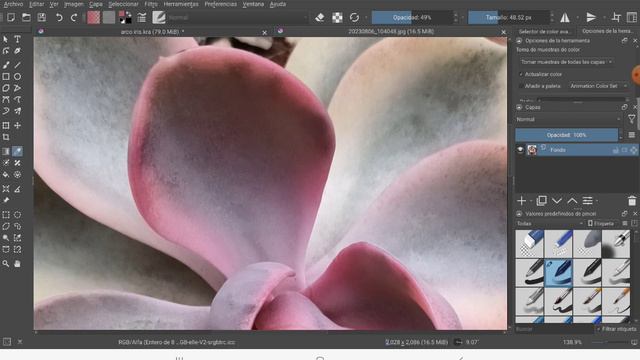 🎨 Arte Botánico 🎨 | Dibujando una Echeveria 'Perle von Nurnberg' en Krita 💐 | Parte 2. смотреть онлайн