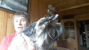 Красавиц  видел я не мало и в журналах и в кино...