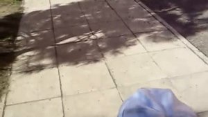 УЖАС!!!!! ЗЛОЙ РОТВЕЙЛЕР ПОРВАЛ ДЕТЕЙ...... в забеге))