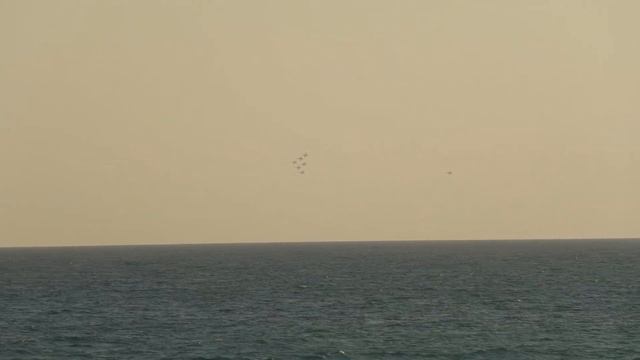 Blue Angels Pensacola Beach Buzz 6/11/23 смотреть онлайн