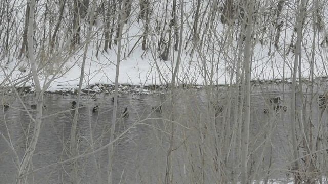 Вид из моего окна смотреть онлайн