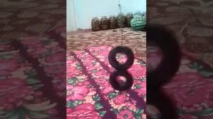 Вечный двигатель из Магнитов!