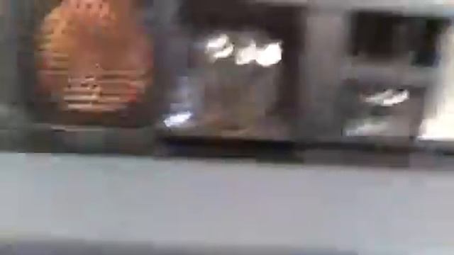 Обзор фотокамеры Polaroid Image 2 смотреть онлайн