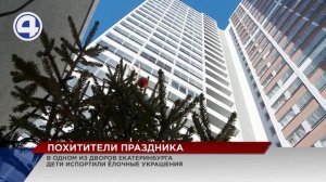 Малолетние вандалы лишили двор на ЖБИ новогоднего настроения