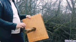 Привой на моей пасеке для ловли роёв.