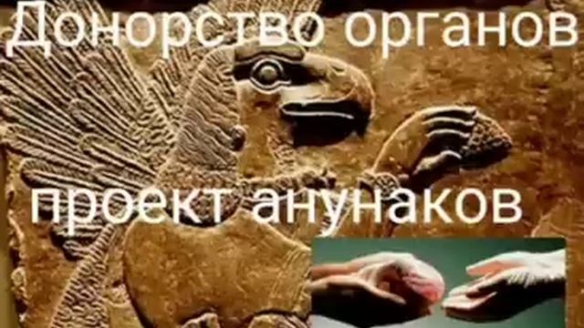 Донорство органов - проект анунаков _@Валерия Кольцова,читала @Надежда Куделькина