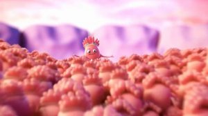 КТО МЫ - Вкусовые сосочки 60 минут