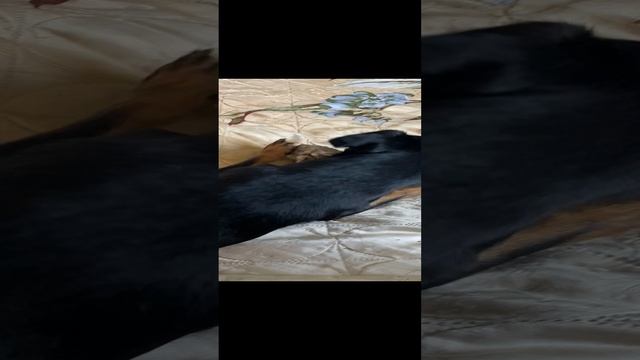 05-12-2023 смотреть онлайн