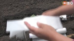 СУПЕР ЗАЩИТА РАССАДЫ ОТ МЕДВЕДКИ И ЖУКА СТРИГУНА БЕЗ ХИМИИ! ПОСАДКА РАССАДЫ ОГУРЦОВ.