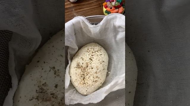 ДОМАШНИЙ СЫР. Ссылка на БЕСПЛАТНЫЙ мастеркласс в описании