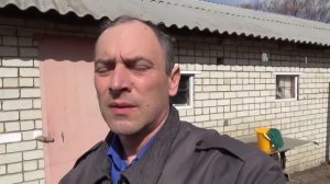 Выгодные перепела.