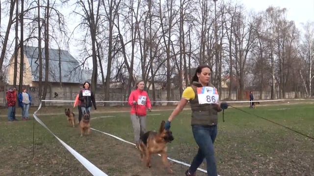 Ринг, Рабочий класс, Суки смотреть онлайн