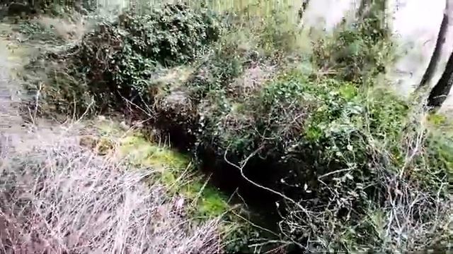 Font de la Gotereta!! смотреть онлайн