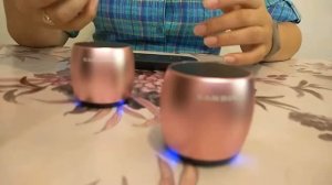 Обзор портативных стерео колонок Sardine F1(акустики)