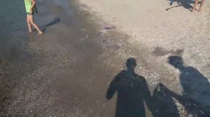 Урзуф Азовское море утро Медузы есть Пляж Чайка