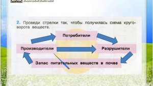 Задание 2 Великий круговорот жизни - Окружающий мир 3 класс (Плешаков А.А.) 1 часть