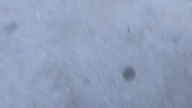 Жизнь русских в Америке / Прогулка по Нью Йорку глазами местного жителя /Как вспоминали Коби Брайнт