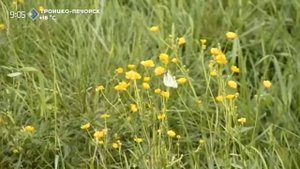 «Джуджыд керöсын, гажа нöрысын». Фильм-экспедиция. 4 часть. 11 сентября 2014