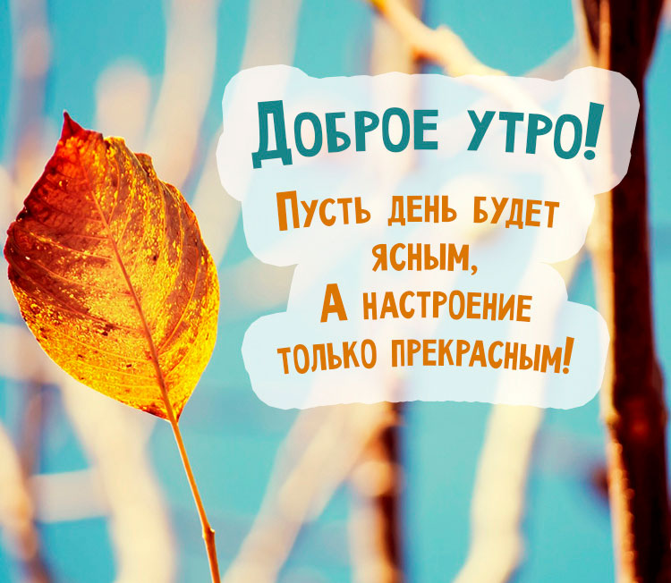 Желаю самого прекрасного утра самому прекрасному человеку