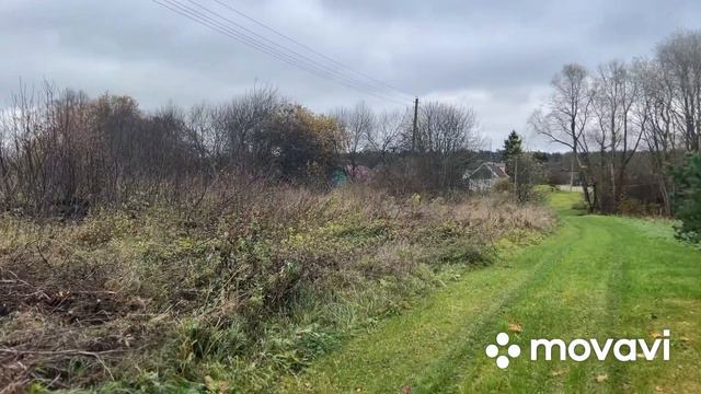 Участок 100 соток. Мосальский р-н смотреть онлайн