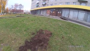 Новая Вилга