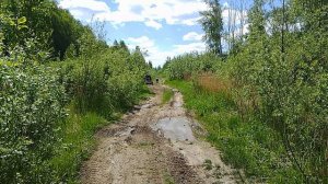 мотороллер Муравей четыре колеса