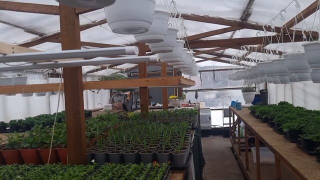 Моя линейка препаратов для винограда от антракноза, оидиума, мильдию, гнили, вредителей на 2024 год смотреть онлайн