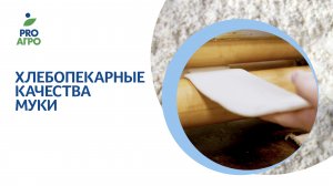 Хлебопекарные качества муки